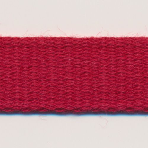 コットンタフタリボン（厚手） #53