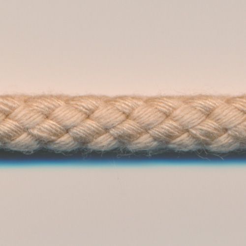 スピンドルコード #10