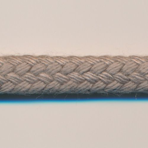 ストリングコード #31