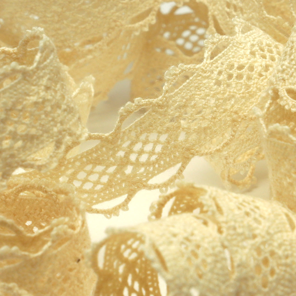 オーガニックコットントーションレース #00 キナリ