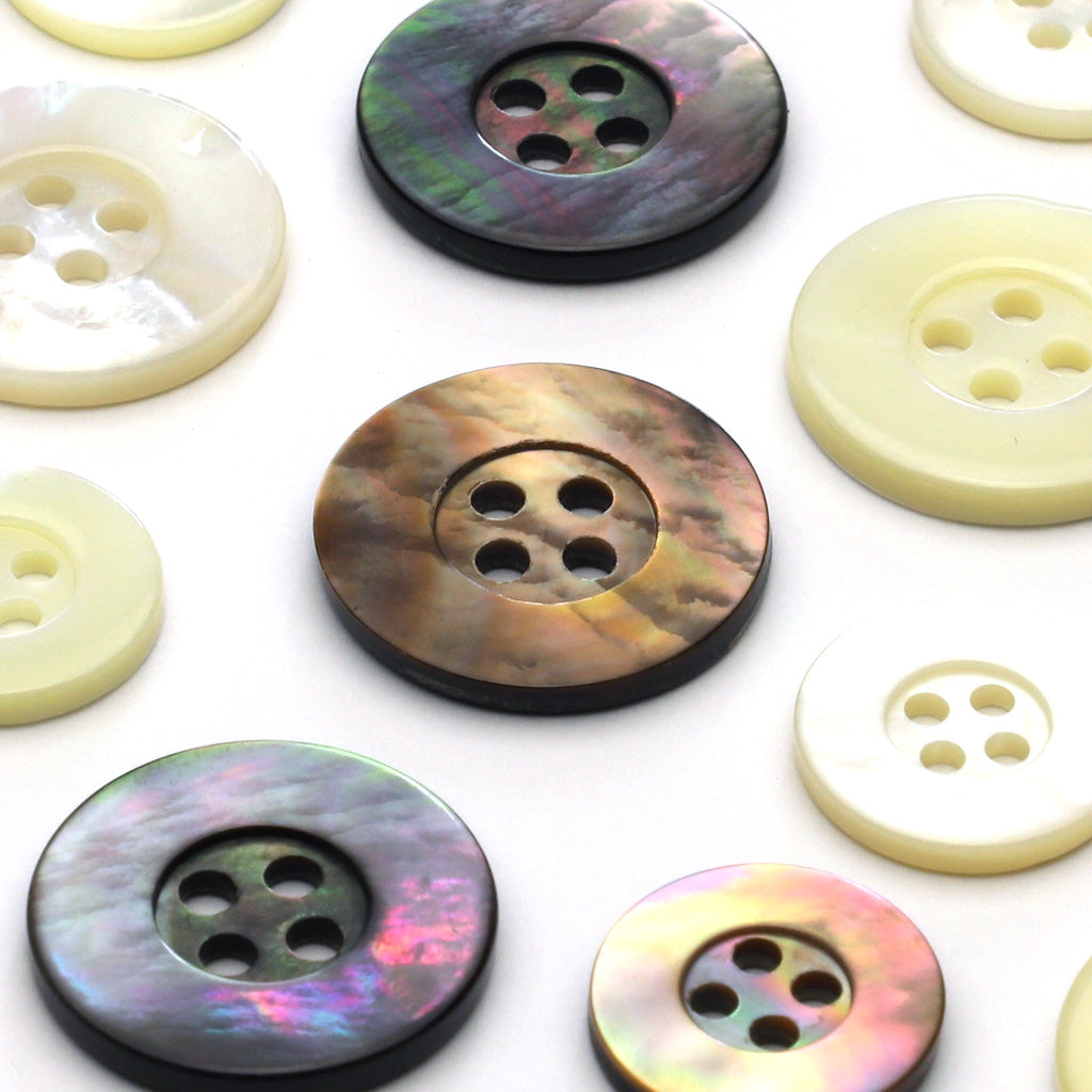 貝ボタン 茶瀬貝