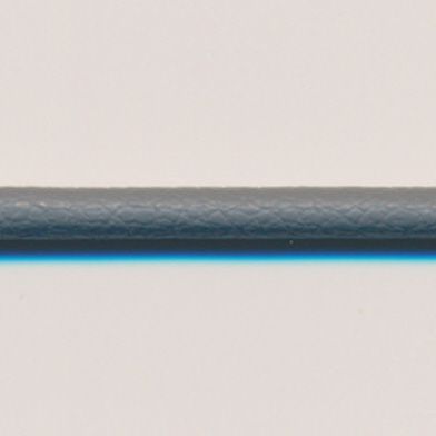 ラシープループ #101