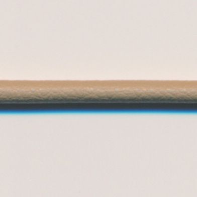 ラシープループ #10