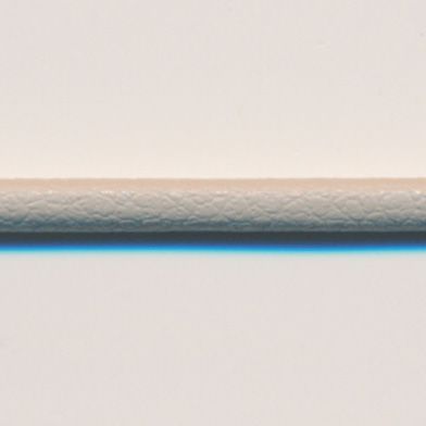 ラシープループ #12