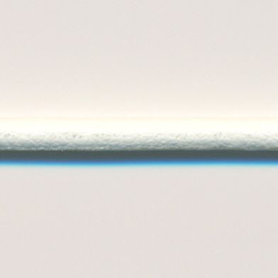 ラシープループ #135