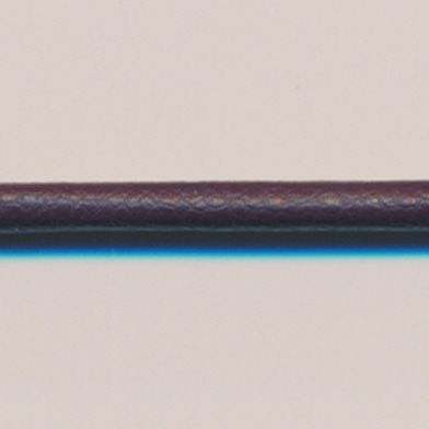 ラシープループ #140