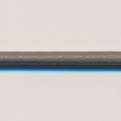 ラシープループ #31