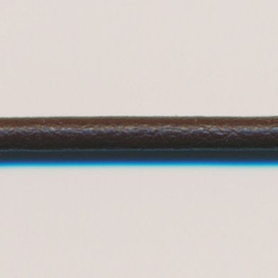 ラシープループ #36