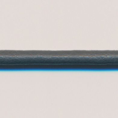 ラシープループ #49