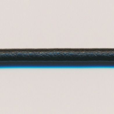 ラシープループ #50