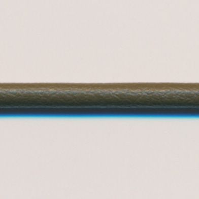 ラシープループ #72