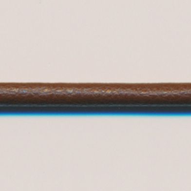 ラシープループ #73