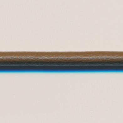 ラシープループ #74