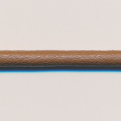 ラシープループ #75