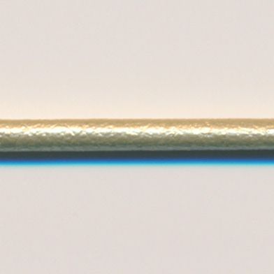 ラシープループ #90