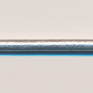 ラシープループ #91