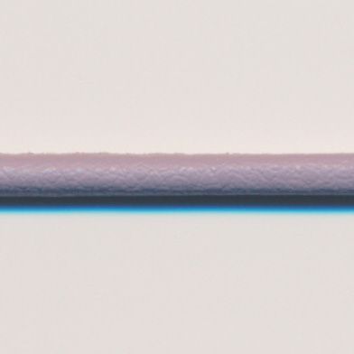 ラシープループ #94