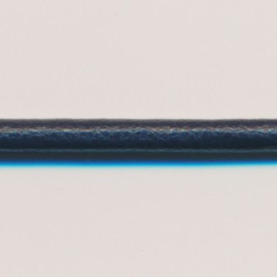 ラシープループ #96