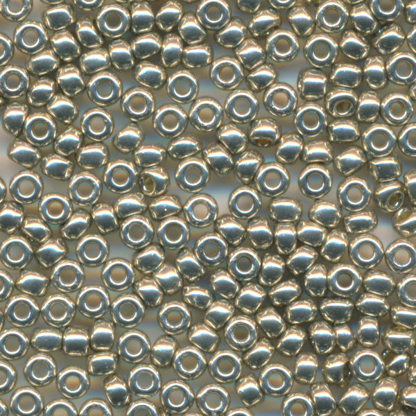 MIYUKI シードビーズ #4221